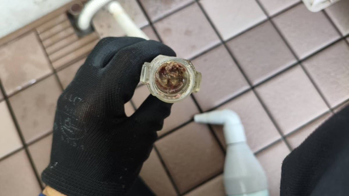 Debris blocking the inside of a removed air-conditioner drain-hose check valve